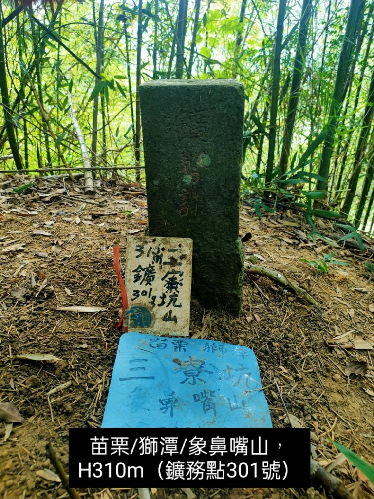 🔺基石 | 三角點_1802892