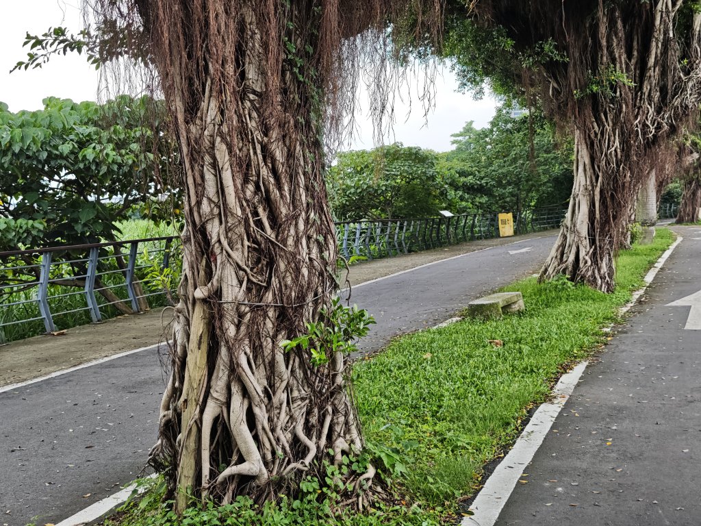 [跟著2025雙北世壯運探索雙北市-1/21] 2025_0607 飛盤競技道（華江雁鴨河濱步道）_2807888