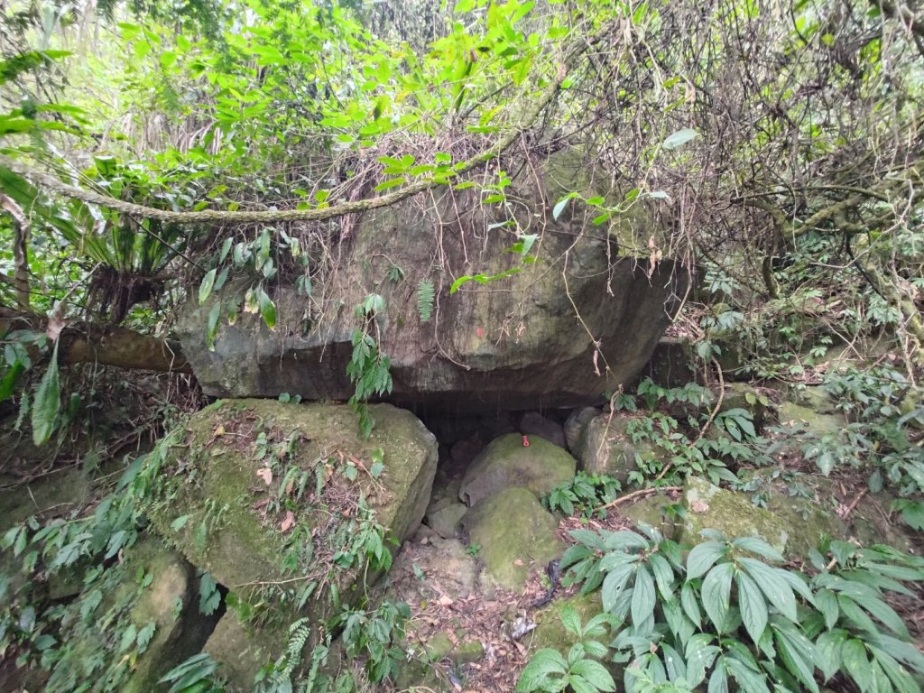 獅子頭山_2440550