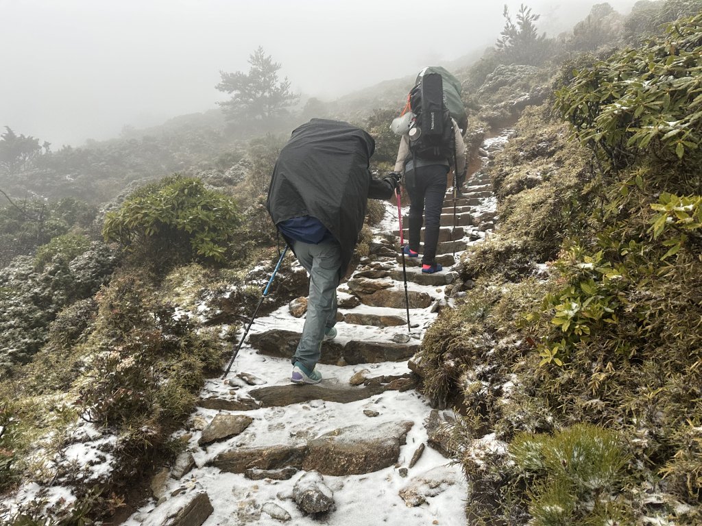 南二段撤退行_2743007