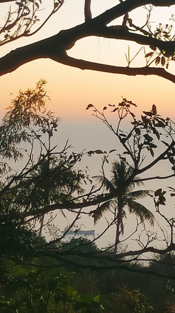 柴山夜爬看夕陽_2993435