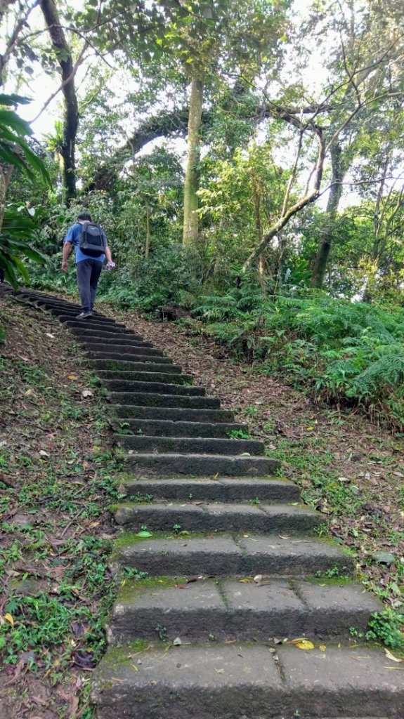 土城爆汗火焰山封面圖