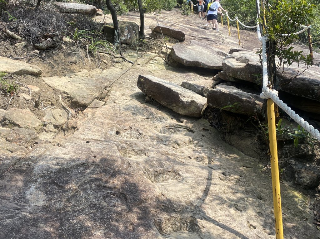 2021.09.20 金面山_1541339