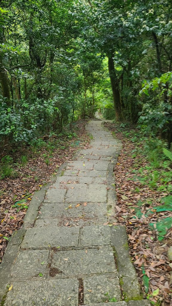 2022-0406 大崎頭步道_瑪礁古道_2號碉堡_內雙溪古道山路_北五指山_高頂山_荷蘭古道_1665157