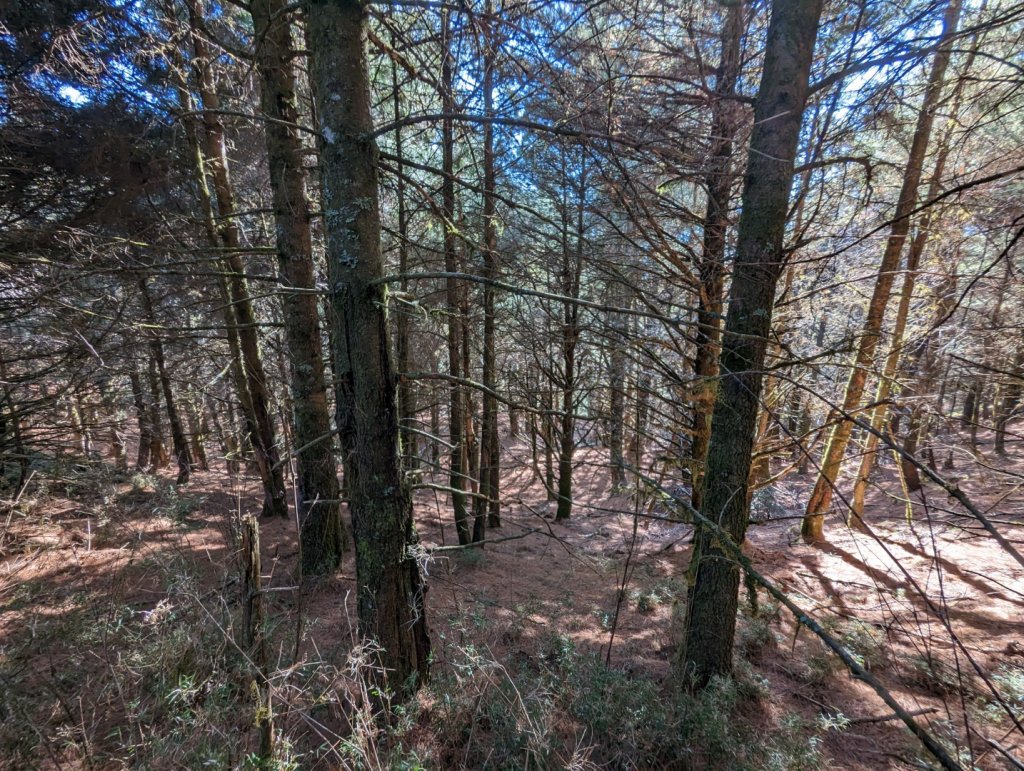 魔界腕山、南面山、獅子尾山_2050936