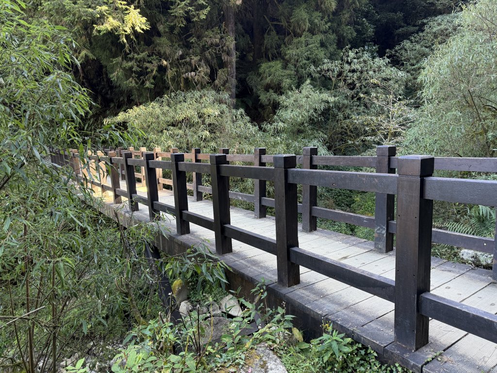 特富野古道_2666640