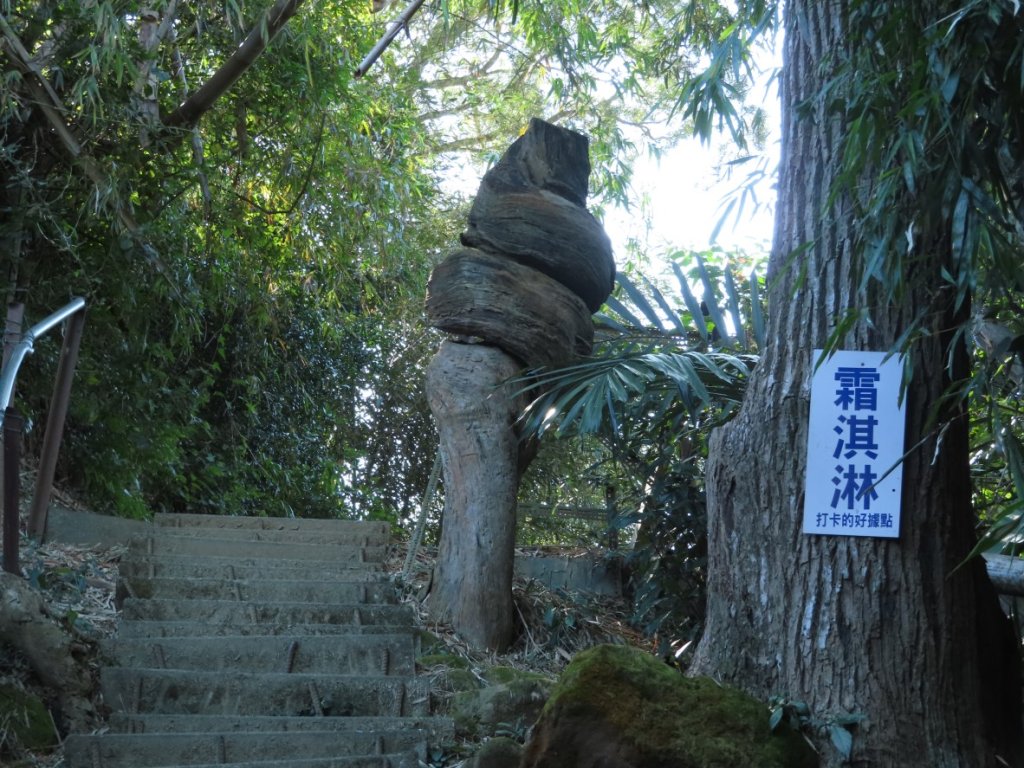 豐原三崁頂健康步道3上2下O形封面圖