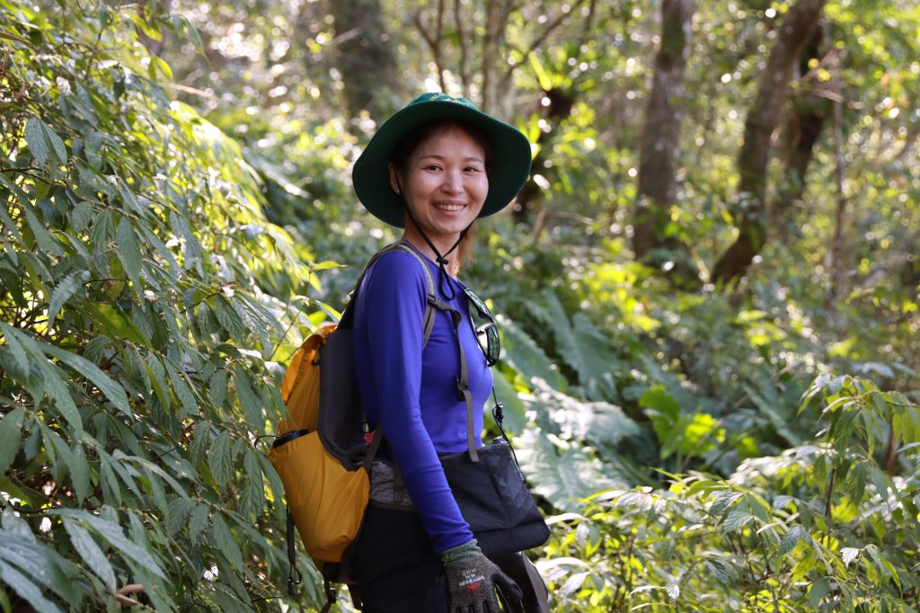 北插山腳散步之赫威神木群_2757672