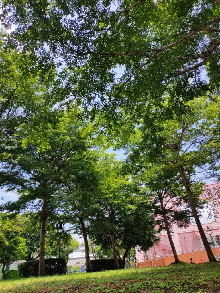 ［健康大穀東］（27~28）：天母運動公園+美崙公園（2023/8/11）_2253696