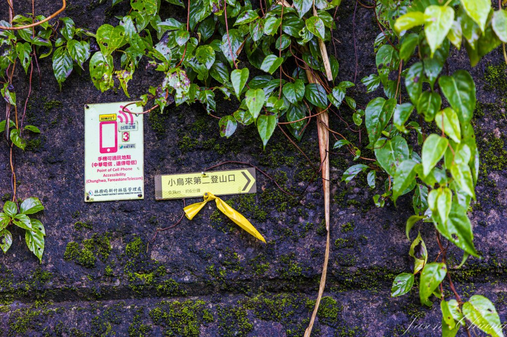 [桃園]北插天山磨練之旅_2532879