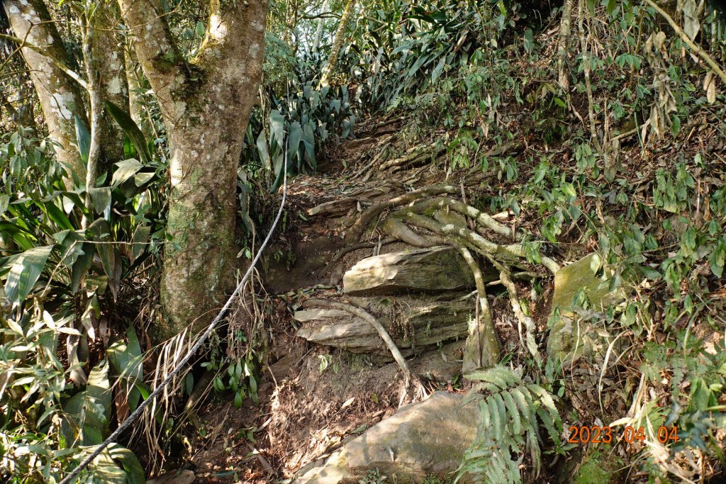 屏東 瑪家、泰武 真笠山、鱈葉根山、日湯真山_2103062