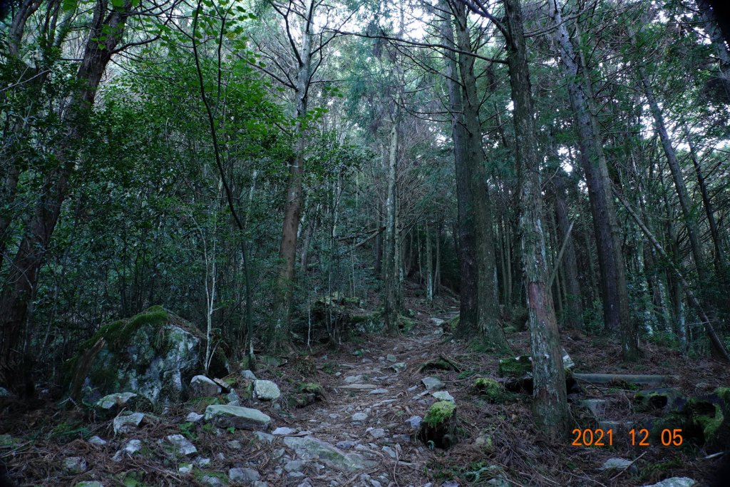 苗栗 泰安 榛山步道、榛山_1540236