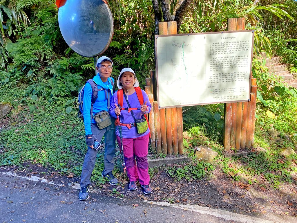 溪頭悠遊盡享森林浴 2020/11/19_1175742