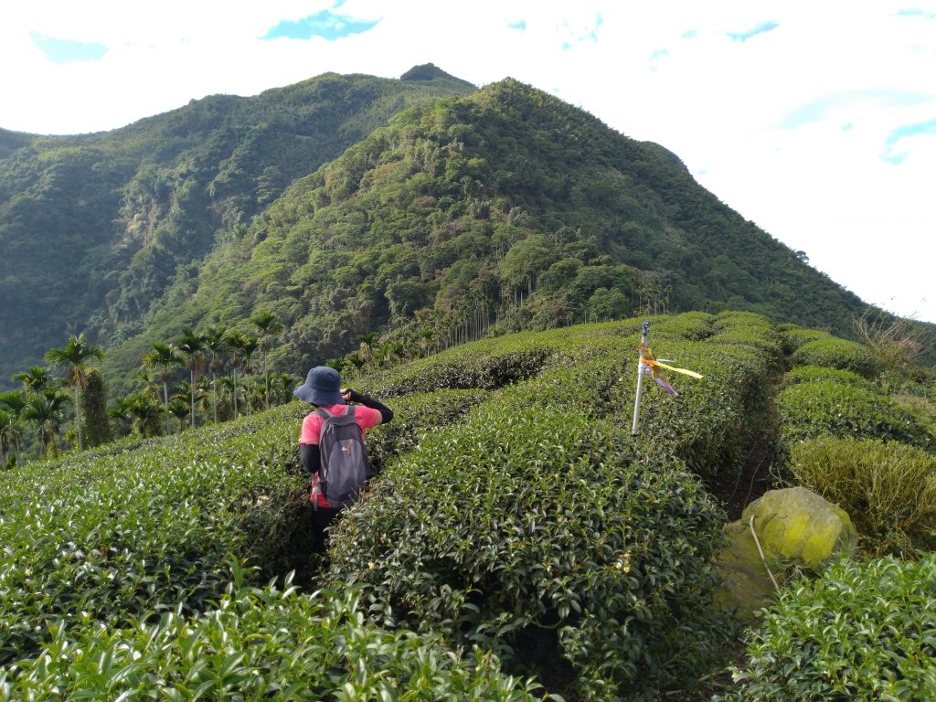 2020-2021 後棟仔 大尖山 二尖山_1527145