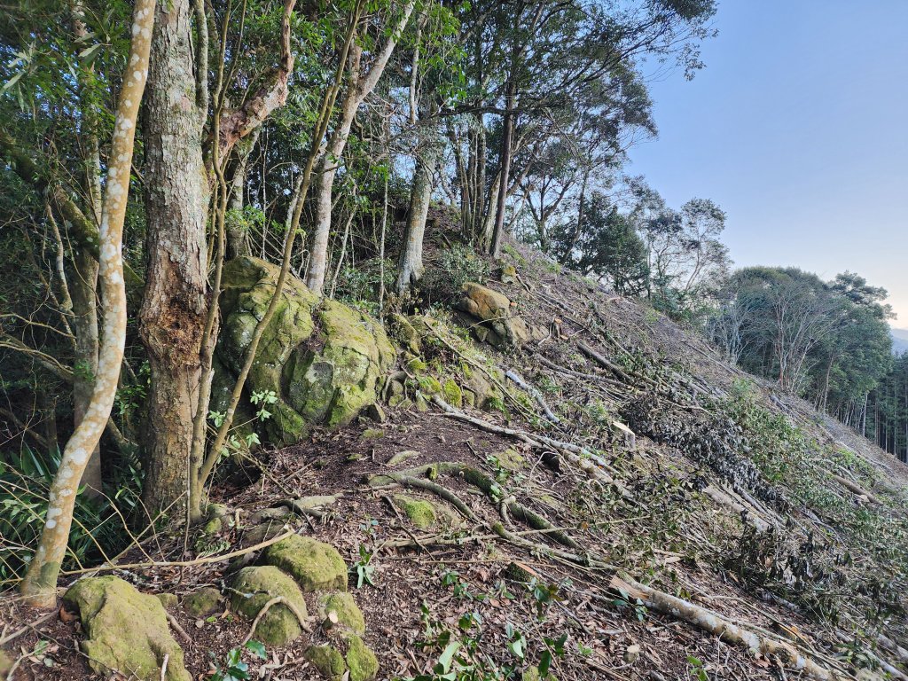 20230129陸隘寮山上鵝公髻山_2034915