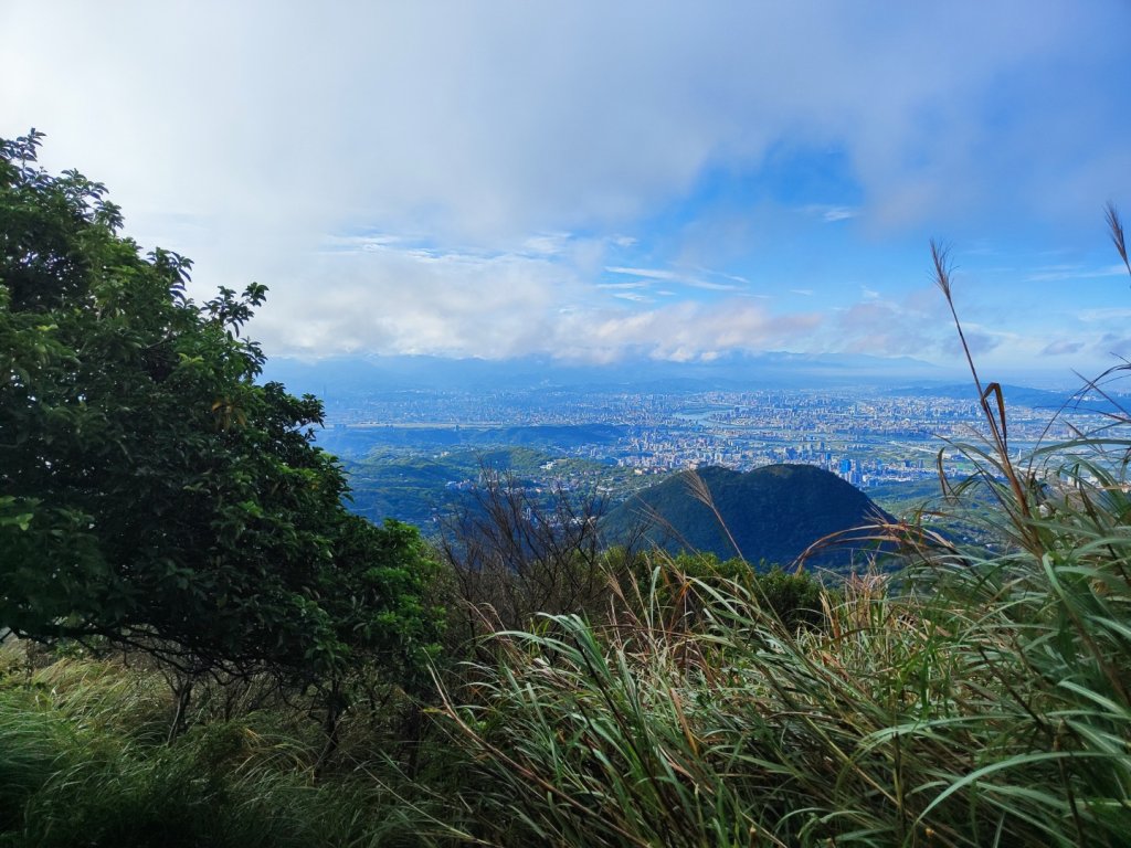 苗圃上七星下冷水坑_2647482