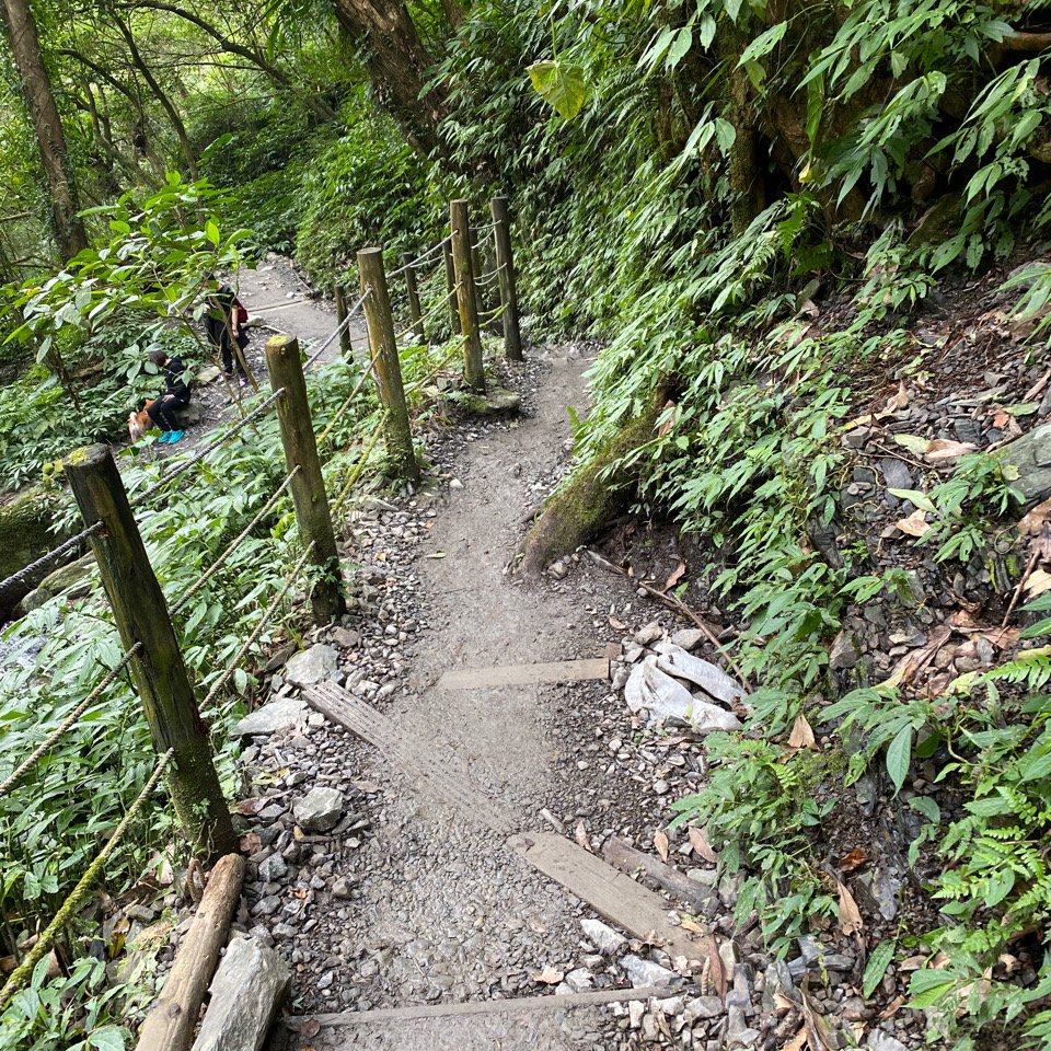 步道巡訪員│聖母登山步道一月巡訪_818943
