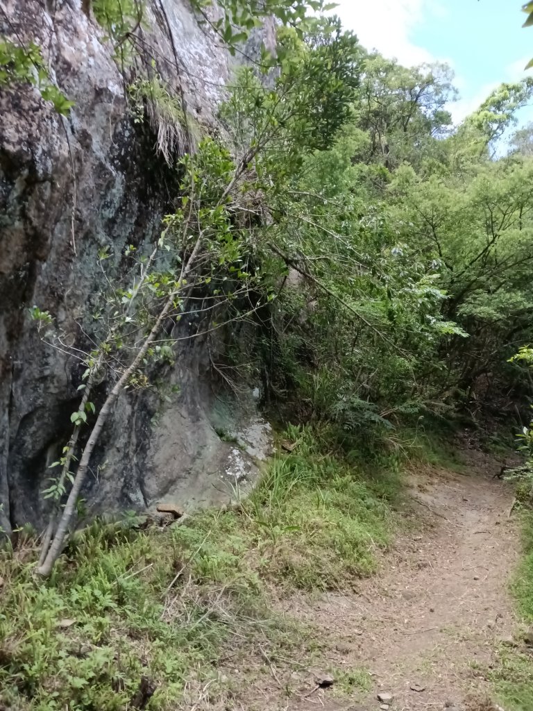 平溪區淡蘭山徑-平湖西步道+內平林山+東步道O型_2769967