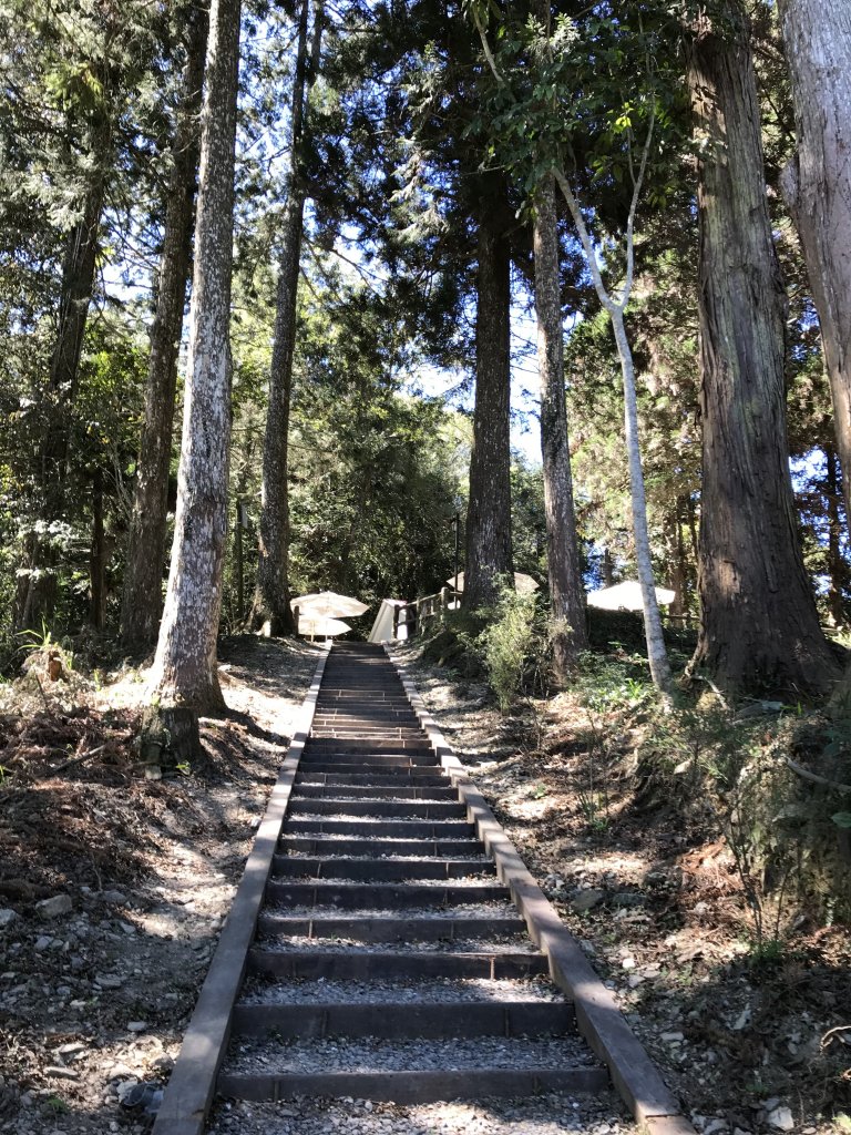 110年5月16日高雄   藤枝國家森林遊樂區_1456879