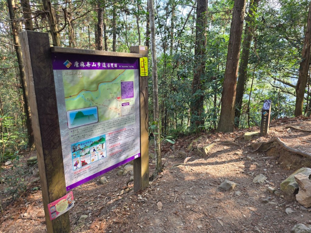 蝶夢八唐（裡冷登山口往返）八仙山出雲海下山順賞富士櫻_2722687
