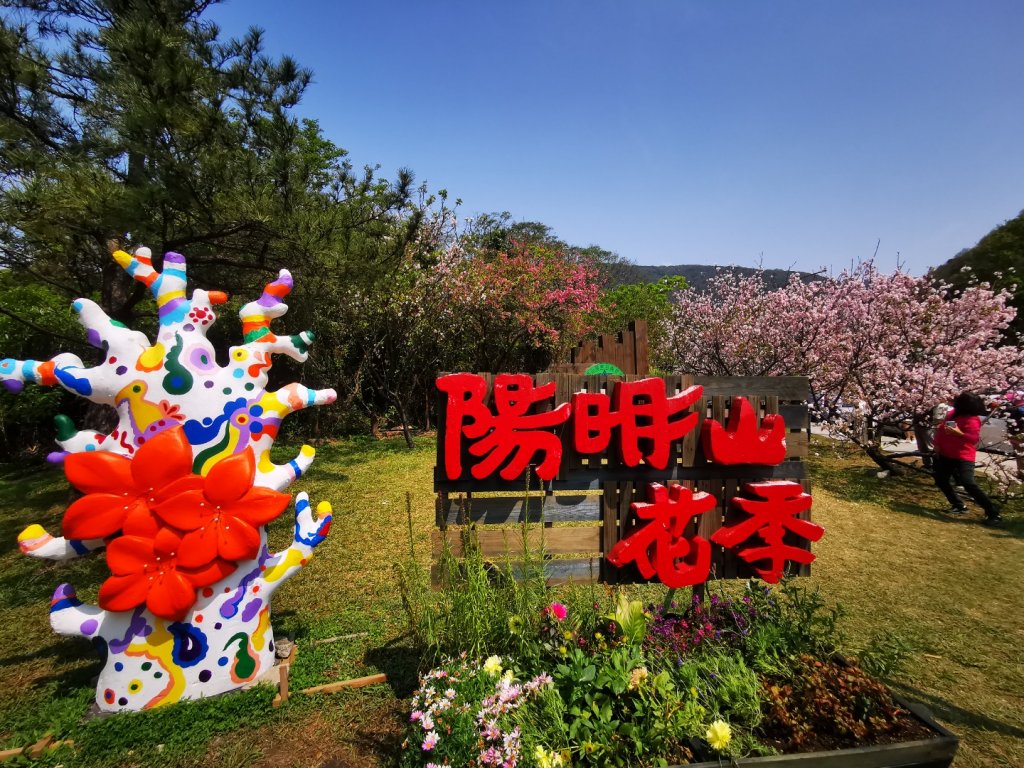 衝!最後一波的櫻花開_2074793