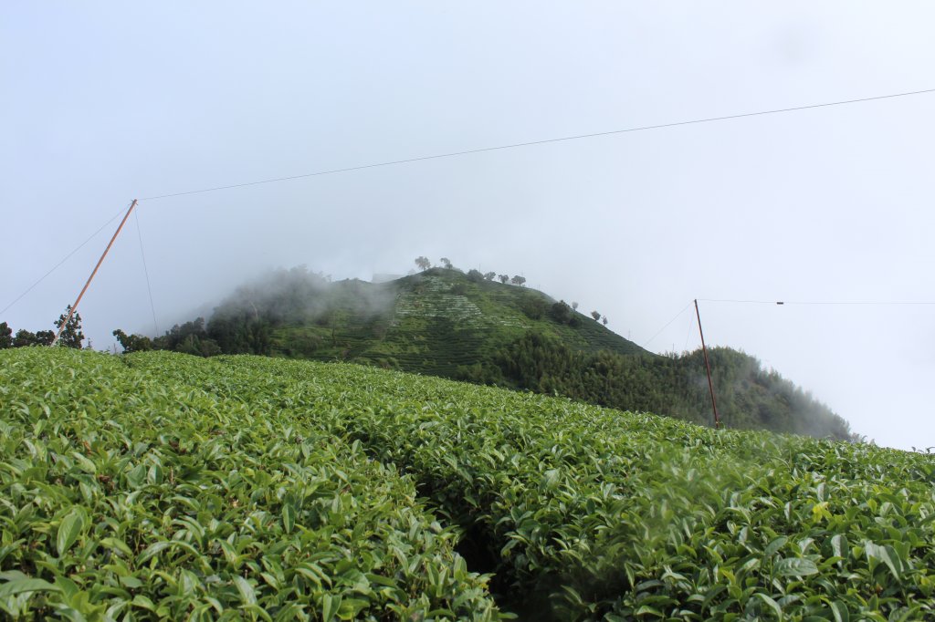 20201024南投龍鳳山O型縱走_1145102