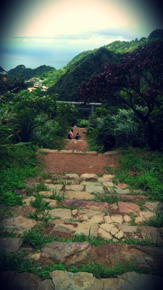 2019 9/3 金瓜石神社_870030