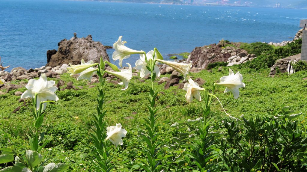 110.0512 基隆嶼登島登塔繞島三合一_1385429