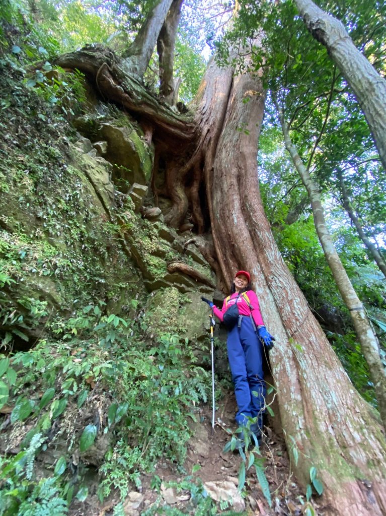 雙鳥縱走+那結山_1312819