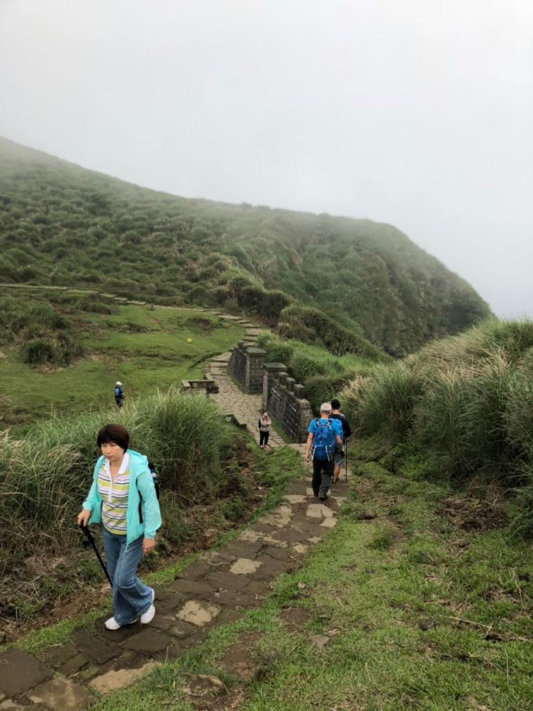 坪頂古圳親山步道_321497