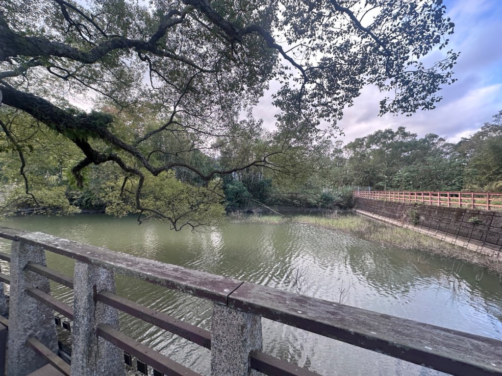 墩子銃古道_2664568