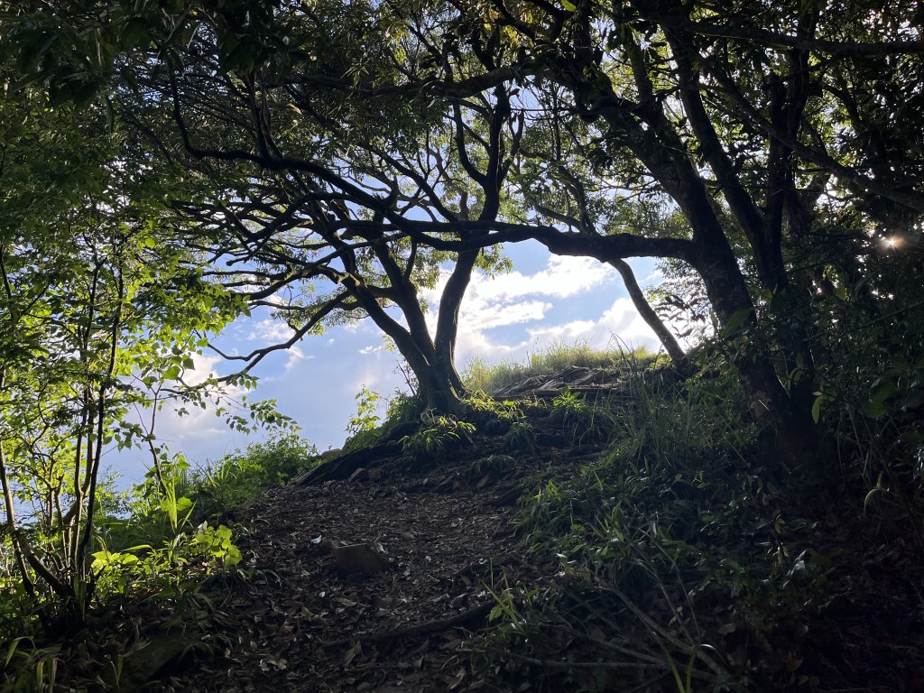 [屏步青雲 尋寶任務-01/10] 2024_0914 德文山步道(觀望山)_2596985