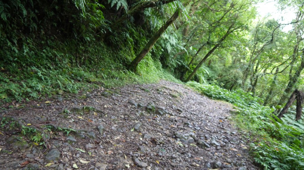 坪溪古道登山健行趣(淡蘭中路TK2-18)_1514200