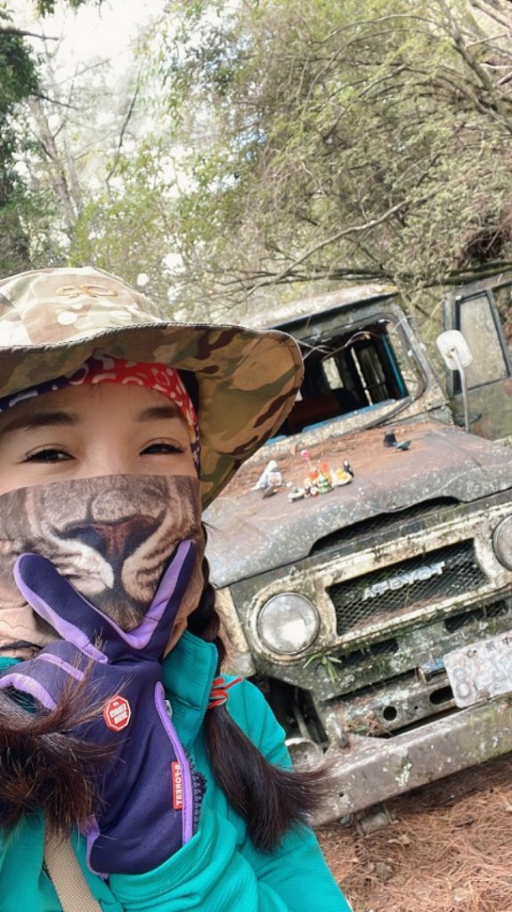 對關追龍貓🚌_1967738