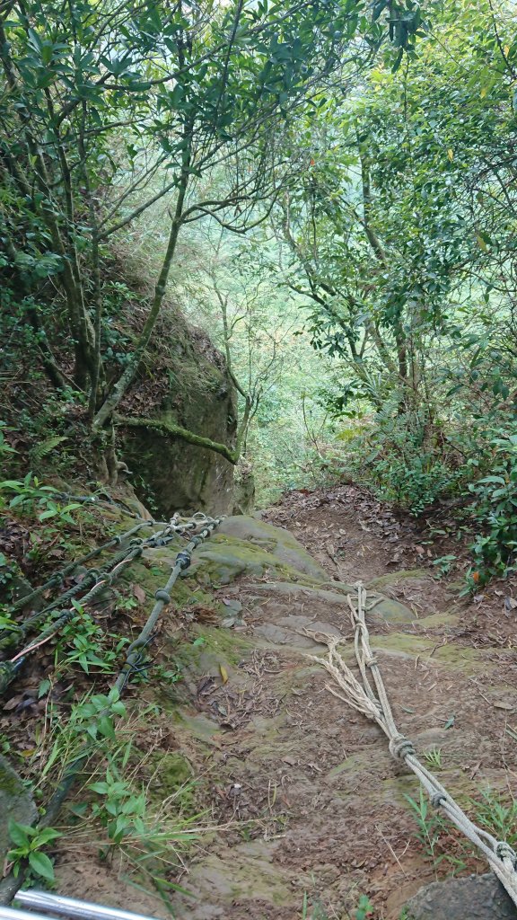 南港山步道縱走拇指/南港山/象山/九五峰_426710