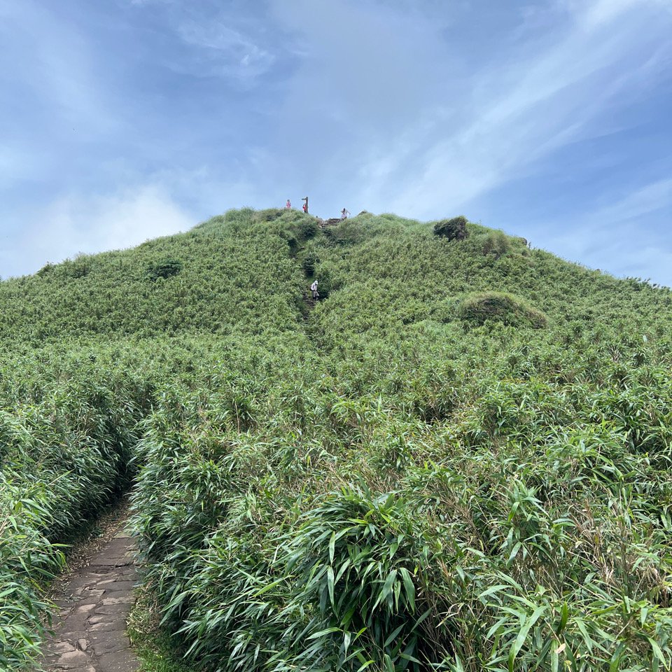 七星山主、東峰步道_2189414