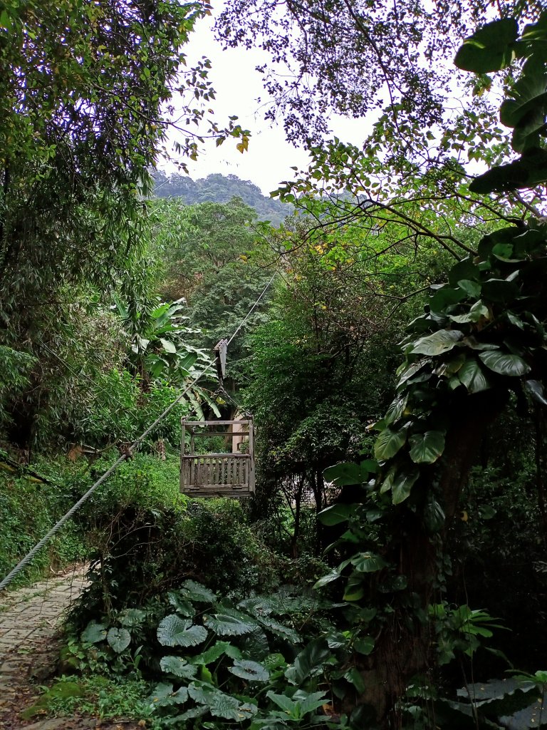 《輕鬆漫遊四獸山市民森林》象、獅、豹、虎_1222662