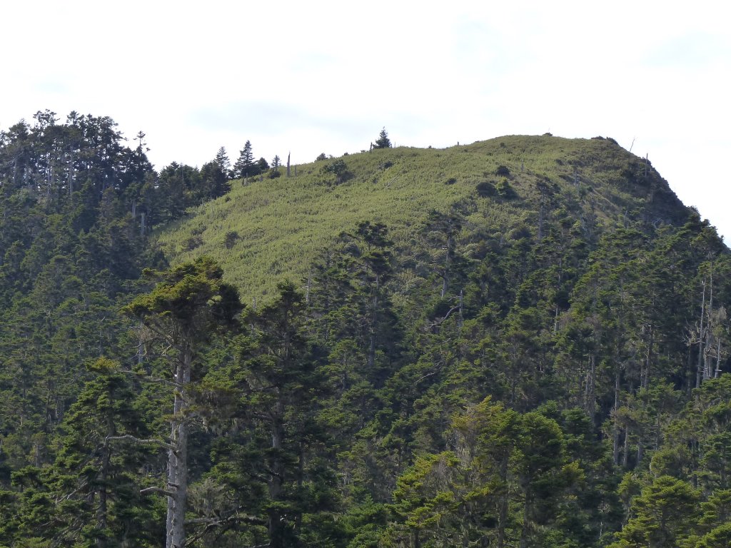 雪山主峰下翠池2019/0723_640291