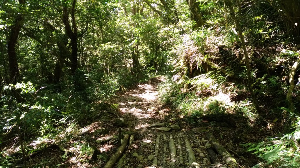 漫步浸水營古道_1380368