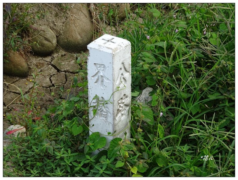 茄苳更山(苗栗/銅鑼)_1535247