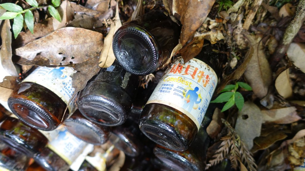 雙龍林道上巒安堂西巒大山_1778710