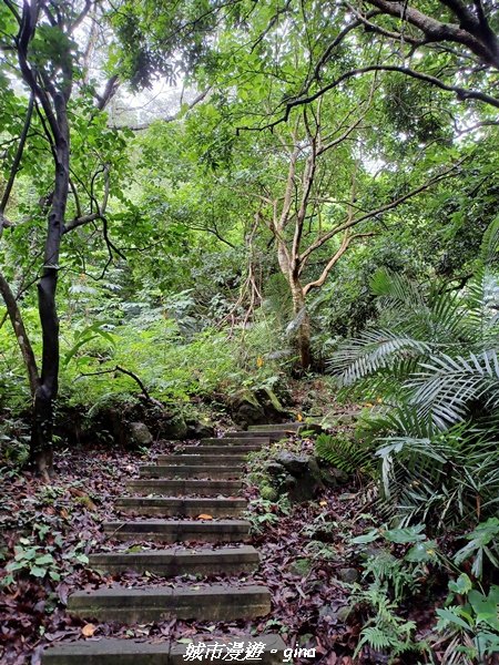 【台中后里】蓊鬱林間。 后里泰安登山步道_1728748