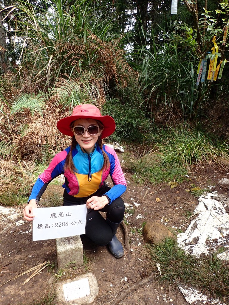 新阿溪縱走_447044