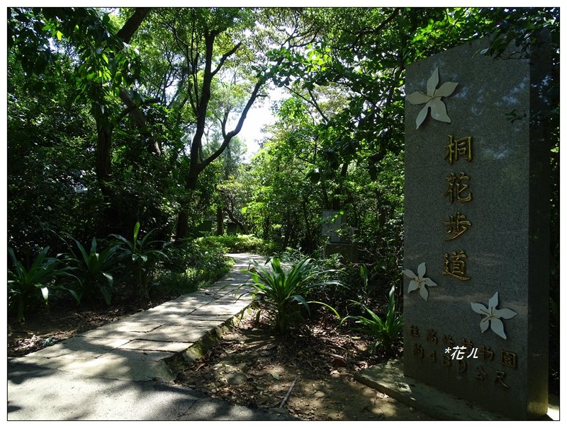 新竹/十八尖山步道 - 健行筆記