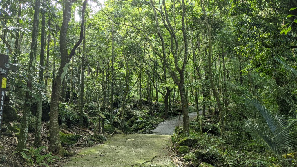 關仔嶺大凍山步道_1448302