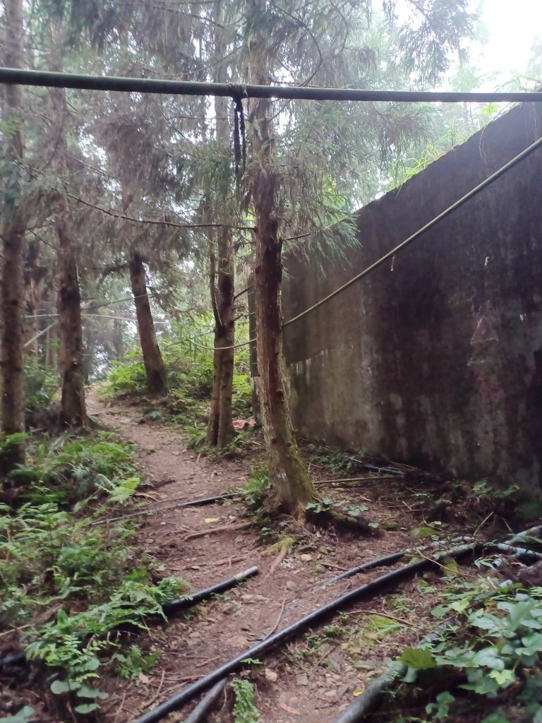 【新竹五峰】迷霧山林。 民都有山登山步道(面托油山)x民都有山北峰_2991898