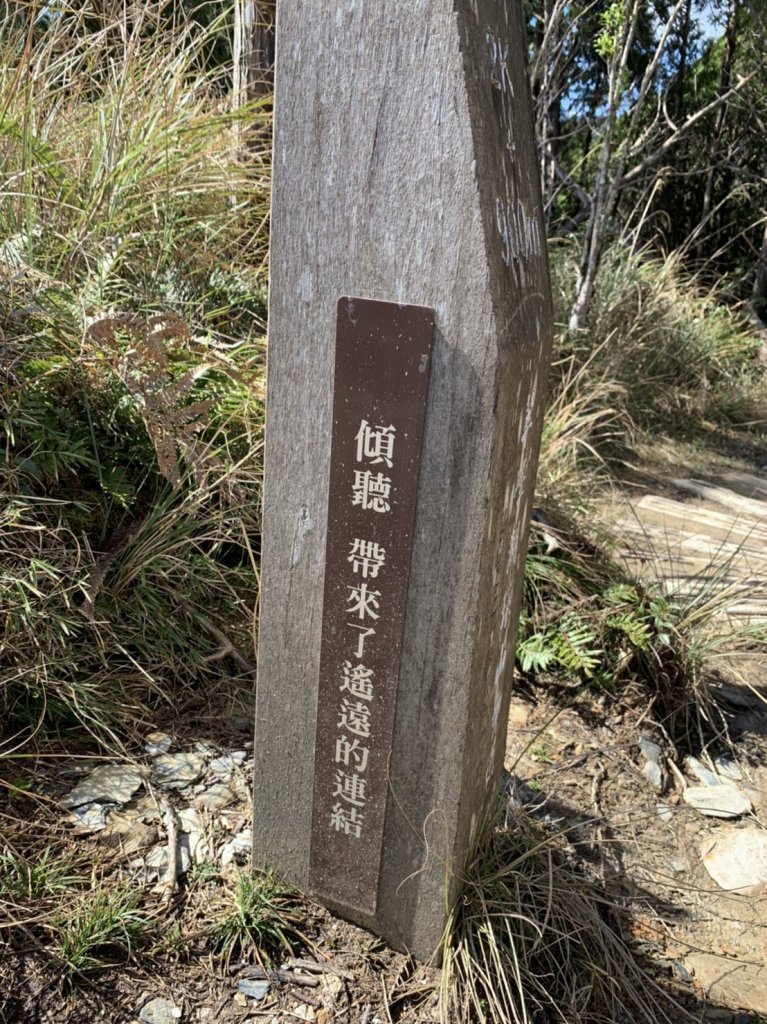 20220228翠峰湖環湖步道_1635647