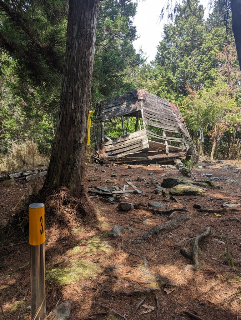 廢棄的伐木時期聚落「巒安堂」。陡下膝軟的「西巒大山」_2137105