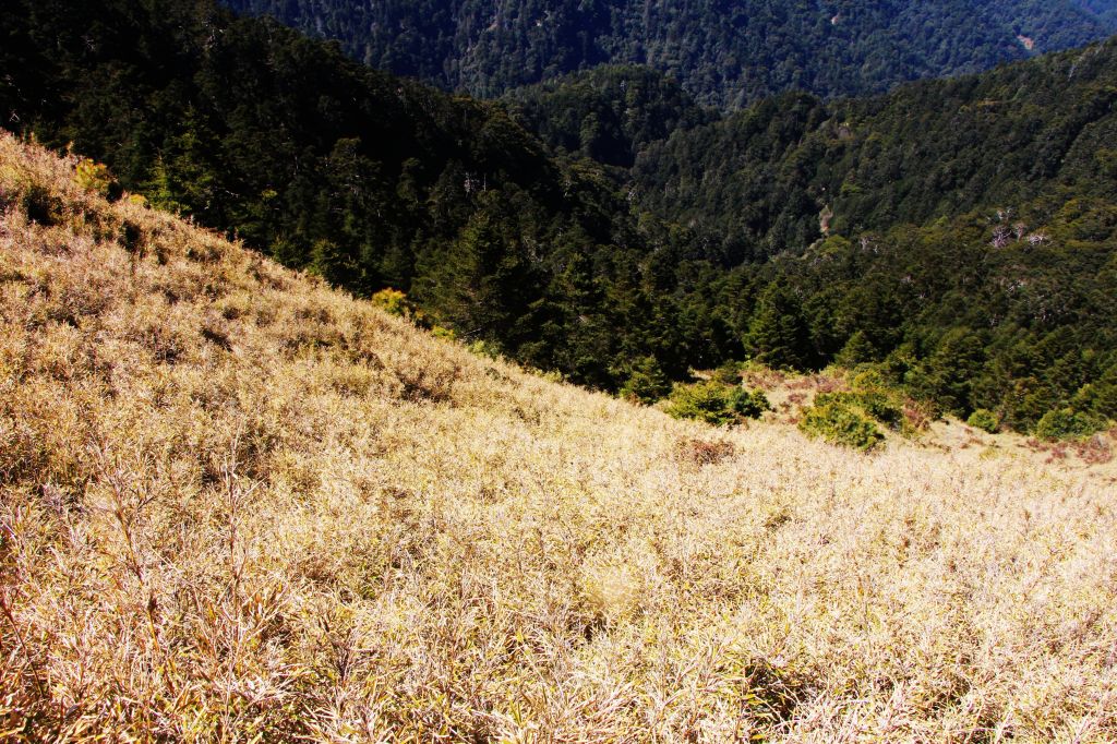 閂山、鈴鳴山 ~ 山巔雲端 , 與美麗山林_307230
