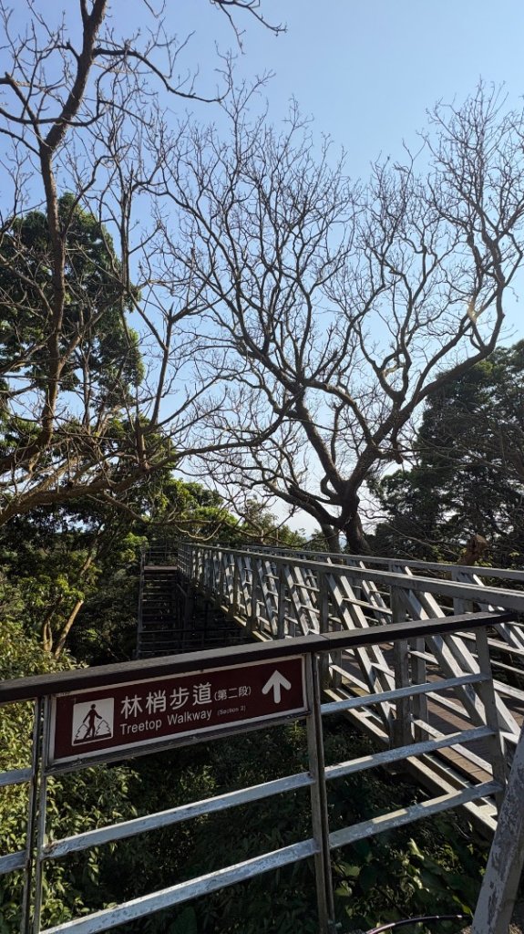 夕陽_3033325